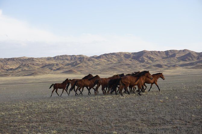 Private tour from Almaty 3 days Altyn emel /Charyn /Kolsay/Kaindy - Who Will Love This Tour?