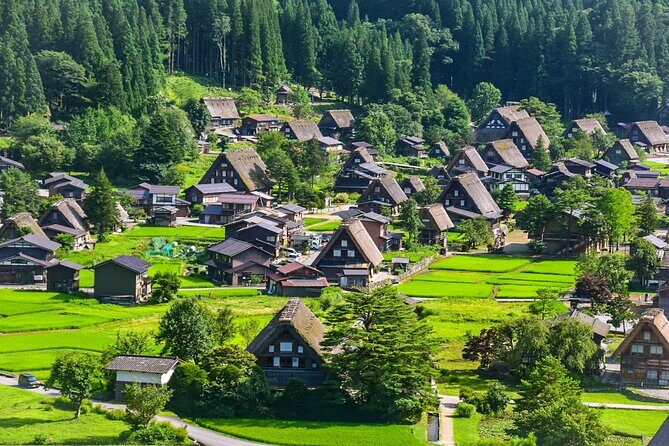 Private Tour From Kanazawa to Takayama and Shirakawa-go - In-Depth Look at the Experience