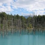 Private Tour: Full-Day Walking Tour with Professional Local Guide in Yakushima Island - The Practicalities: What You Need to Know