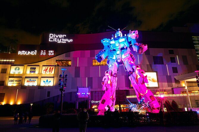 Private Tour in Tokyo 5 Cities and 10 Points Day or Night - The Practicalities