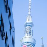 Private Tour in Tokyo with English speaking driver - Who Would Love This Tour?