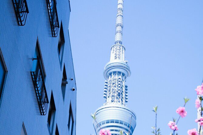 Private Tour in Tokyo with English speaking driver - Who Would Love This Tour?