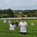 Private Tour in West Jeju Island with Transfer - What It Means for You