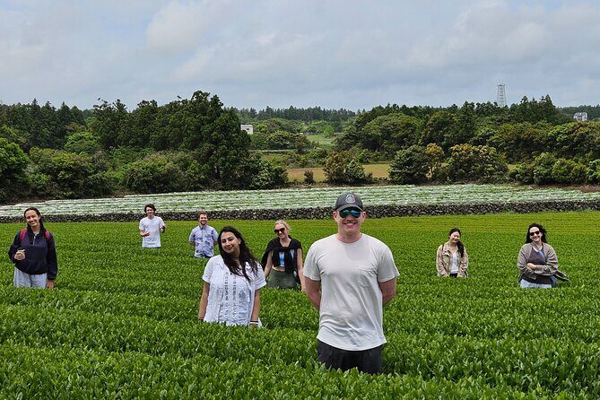 Private Tour in West Jeju Island with Transfer - What It Means for You