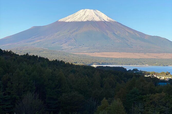 Private Tour Mt. Fuji Hakone Yokohama - Why This Tour Works Well
