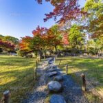 Private Tour-Nagoya sightseeing centred on Samurai Culture! - Exploring Nagoya’s Samurai Heritage in Detail