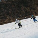 [Private Tour] Nami Island & Ski (Ski Lesson, Equip & Clothing Included) - Who Would Love This Tour?