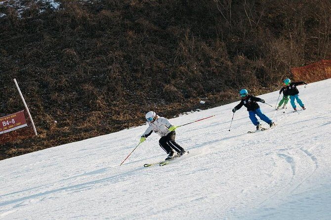[Private Tour] Nami Island & Ski (Ski Lesson, Equip & Clothing Included) - Who Would Love This Tour?