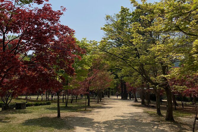 [Private Tour] Nami Island+Morning calm Garden+Petite France - Why This Tour Offers Great Value