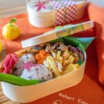 Private Tour of Akame 48 Waterfalls with Bento Making - Final Thoughts