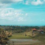 Private Tour of Balis Ubud: Culture, Nature & Heritage - Exploring the Ubud Highlights: A Detailed Journey