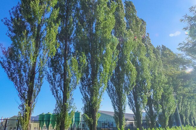 Private Tour - Sapporo Western Architecture for Photo Lovers - The Itinerary in Detail