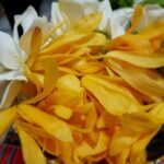 Private Tour: Thai Culture& Experience with Buddhism - The Sum Up