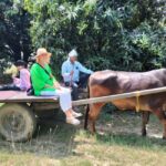 Private Tour to an Indian Village & Cooking Class - Key Points