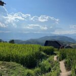 Private Tour to Chiang Mai Rice Terraces and National Park - Potential Drawbacks to Consider