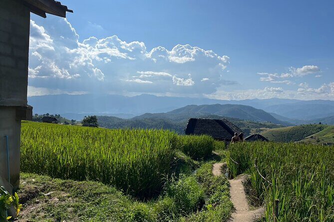 Private Tour to Chiang Mai Rice Terraces and National Park - Potential Drawbacks to Consider