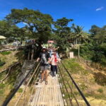 Private Tour to Chocolate Hills, Tarsiers, & River Lunch in Bohol - Who Is This Tour Best For?