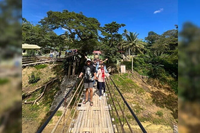 Private Tour to Chocolate Hills, Tarsiers, & River Lunch in Bohol - Who Is This Tour Best For?