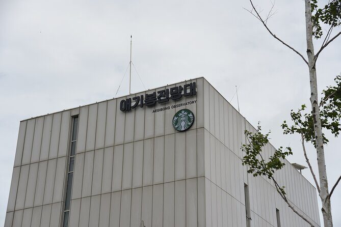 Private Tour to DMZ Outpost & UNESCO Royal Tombs - Why This Tour Offers Great Value