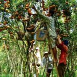 Private tour to Mekong Delta 1 day - Why This Tour Offers Great Value