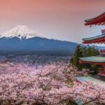 Private tour to Mount Fuji and Hakone from Tokyo - Practical Details and Tips