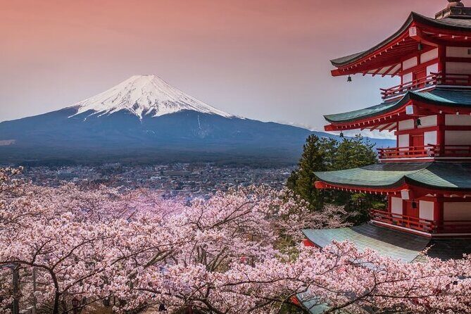 Private tour to Mount Fuji and Hakone from Tokyo - Practical Details and Tips