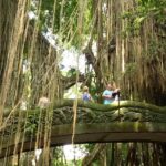 Private Tour to Sumampan Waterfall, Monkey forest, Rice terraces and Swing - Frequently Asked Questions