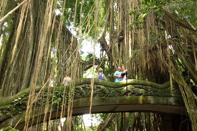 Private Tour to Sumampan Waterfall, Monkey forest, Rice terraces and Swing - Frequently Asked Questions