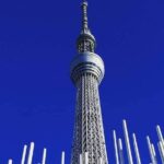 Private tour Tokyo - The Harmony of Modernity and Tradition - Authenticity and Local Flavor