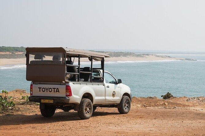 Private Tour: Udawalawe National Park Safari - Who Will Love This Tour?