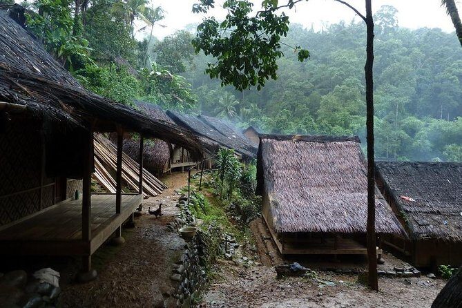Private tour with lunch: Jakarta to Baduy tribal - Final Thoughts: Who Will Love This Tour?