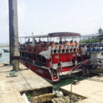 Private Transfer and Whale Watching Tour from Hikkaduwa and Galle - What to Expect During the Whale Watching