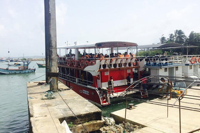 Private Transfer and Whale Watching Tour from Hikkaduwa and Galle - What to Expect During the Whale Watching