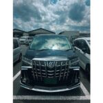 Private Transfer between Narita Airport and Tokyo - Who Should Book This?