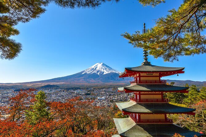 Private Transfer between Tokyo and Lake Kawaguchi/Mt. Fuji/Hakone - The Sum Up