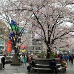 Private Transfer from Haneda Airport to Hachik City, Japan - Final Thoughts