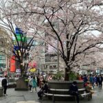 Private Transfer from Narita Airport to Prince Hachi City Japan - What to Expect During Your Ride