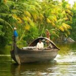 Private Transfer from Trivandrum to Alleppey: Travel Guide - A Deep Dive into the Trivandrum to Alleppey Transfer Experience
