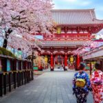 Private Transfer: Haneda Airport HND to Tokyo in Luxury Car - What to Expect on Your Journey