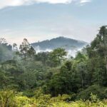 Private Transfer: Kuala Lumpur to Taman Negara National Park (Kuala Tahan Jetty) - An In-Depth Look at the Private Transfer from Kuala Lumpur to Taman Negara