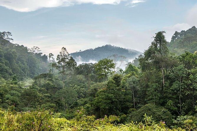 Private Transfer: Kuala Lumpur to Taman Negara National Park (Kuala Tahan Jetty) - An In-Depth Look at the Private Transfer from Kuala Lumpur to Taman Negara