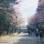 Private Transfer New Chitose Airport to Hokkaido Attractions - The Value of This Transfer