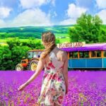 Private Transport in Hokkaido with English Speaking Driver - Breaking Down the Experience