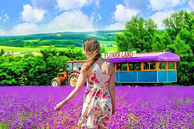 Private Transport in Hokkaido with English Speaking Driver - Breaking Down the Experience