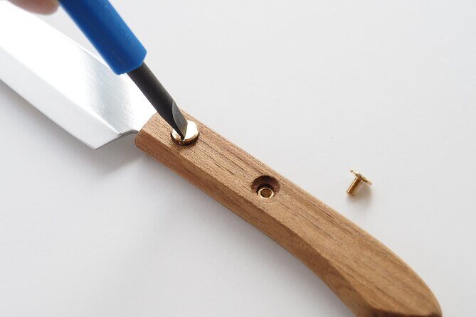 Private Tsubame Sanjo Fruit Knife Making Tour with Licensed Guide - Detailed Review of the Tour Experience