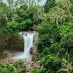 Private Ubud Day Tour Waterfalls Sacred Monkeys and Rice Fields - What Our Reviewers Love