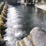 Private UBUD Tour - Authentic Experiences and Genuine Value