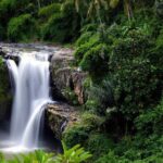 Private Ubud Tour - Final Thoughts: Is It Worth It?