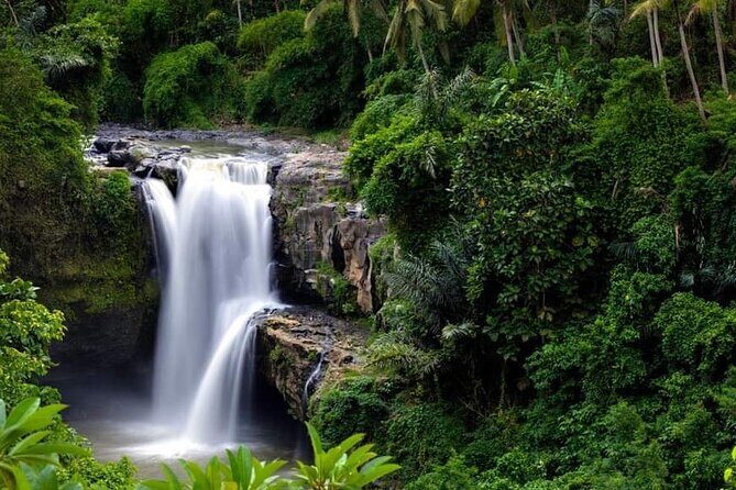 Private Ubud Tour - Final Thoughts: Is It Worth It?