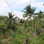 Private Ubud Tour Package - Witnessing Balinese Culture in the Barong & Fire Dance